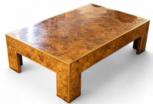 Modern History Low Style Parisian Coffee Table in Burl Wood and Brass Trim