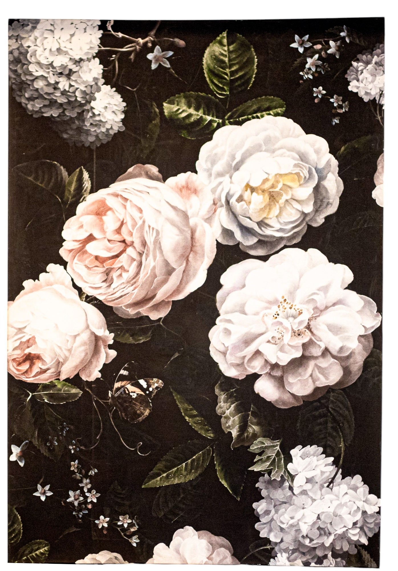 Flora Bunda Still Life Peonies Print on Canvas